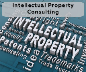 Intellectual Property Consulting