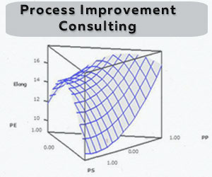 Process Improvement Consulting
