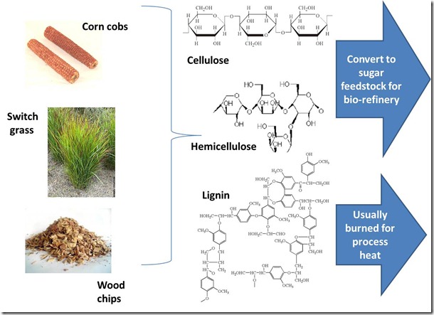 Feeding the biorefinery