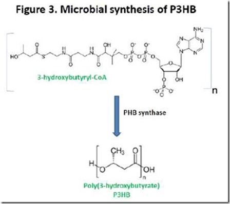 Figure3