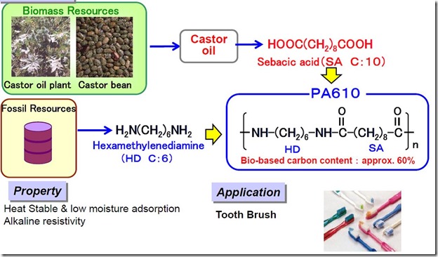 Toray approach to bio polyamide