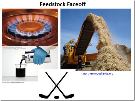 biomass feedstock
