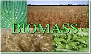 biomas-web