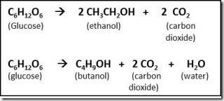 glucose to ethanol figure