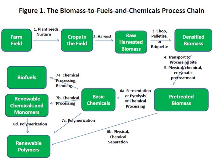 The future of second-generation biomass