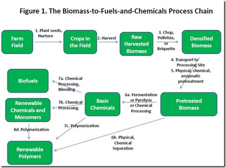 Biomas to fuels and chemical process chain