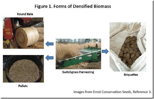 Densified Biomass