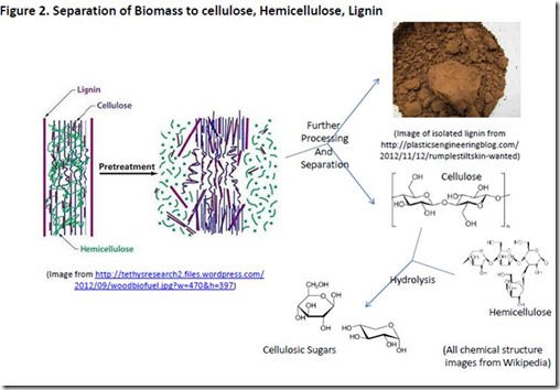 Separation of biomass to cellulose hemicellulose and lignin