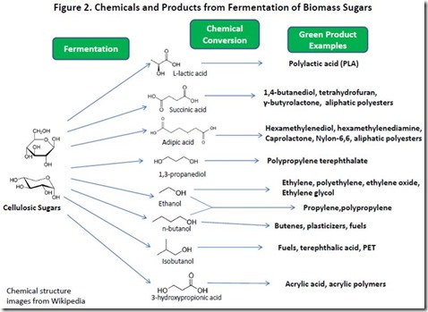 Fermentation of Biomass Sugars