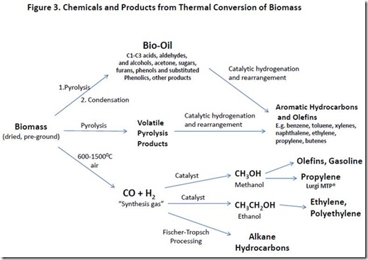 Thermal Conversion of Biomass