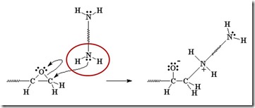 Epoxy amine reaction 1