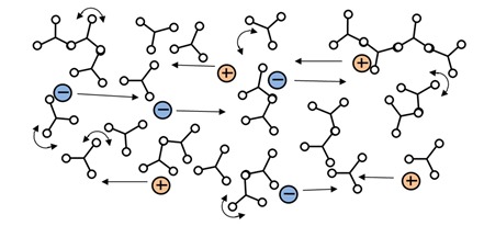 Figure 2--Mobile ions during early polymerization