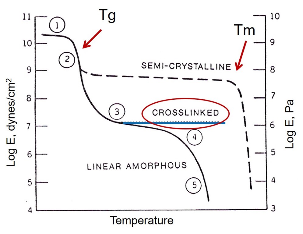 view flavonoids and other polyphenols