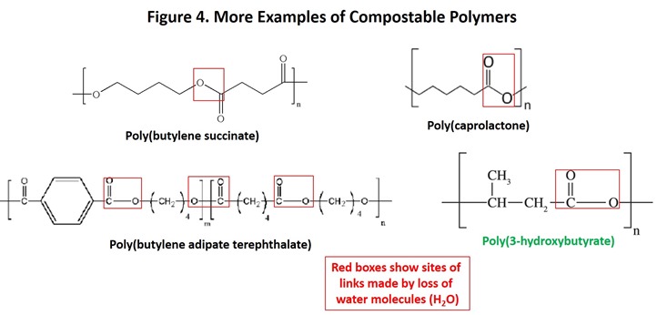 Figure 4 Other compostable polymers