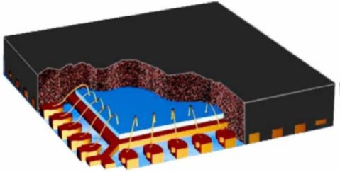 buy endoscopic imaging techniques and