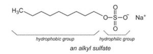 Organic Coatings: Part Thee, Understanding Wetting Agents - Polymer ...